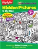 Highlights Hidden Pictures - Super Challenge - Into the Wild