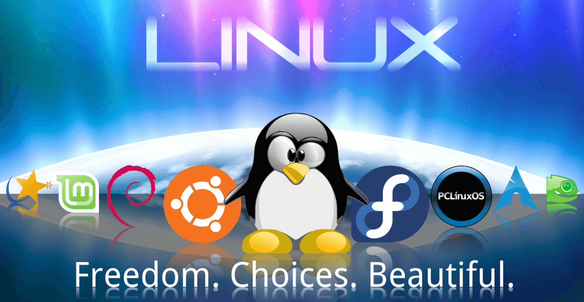 Apakah Penggunaan Sistem Operasi Linux Baik Untuk Bisnis