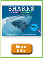 Sharks: Biggest! Littlest!