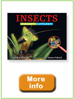 Insects: Biggest! Littlest!