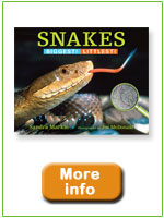 Snakes: Biggest! Littlest!