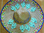 Mexican sombrero