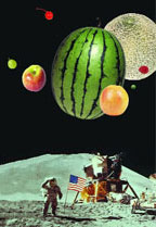 Watermelon, apple, cherry, orange, and a cantaloupe