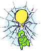 Spider in web