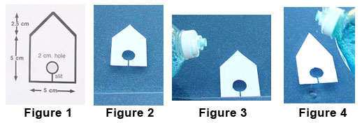 Soap boat shape in pan with water and dishwashing liquid