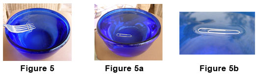 Paper clip on a fork in a bowl of water