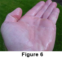 A few drops of cooking oil on the palm of the hand